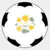 オリジナル記念サッカーボール サムネイル